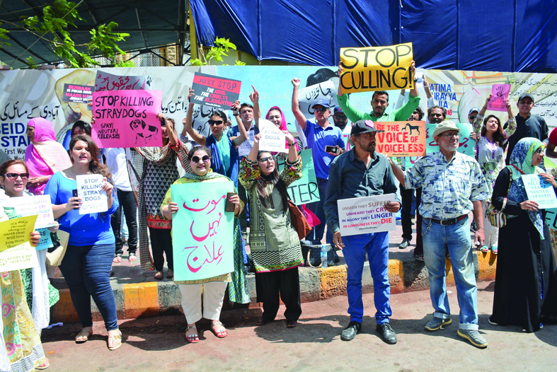 a voice to the voiceless holding placards which read kill corruption not dogs stop the killing and more protesters condemned the actions of kmc outside kpc on saturday photo mohammad azeem express