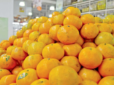 pak afghan border closure hinders kinnow exports