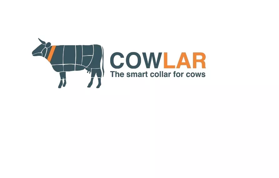 cowlar was among the 52 startups showing their idea at demo day w17 photo cowlar cowlar was among the 52 startups showing their idea at demo day w17 photo cowlar