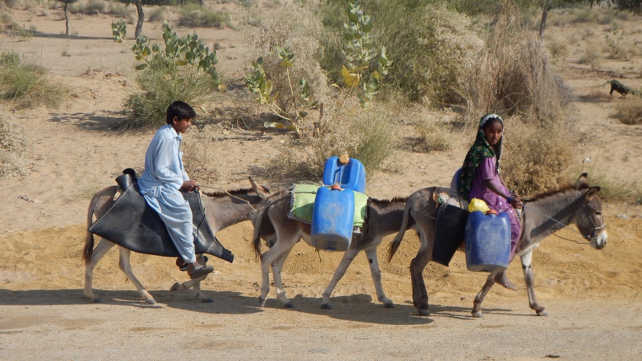 children take water on donkeys in tharparkar due to shortage of water people have to travel for long distances to fetch water for daily use photo courtesy shahzadi tunio