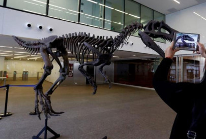 scientists uproot dinosaur family tree