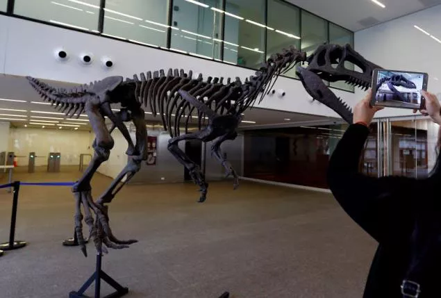 a woman takes photos of a replica of a newly discovered meat eating dinosaur that prowled argentina 90 million years ago in buenos aires july 13 2016 photo reuters a woman takes photos of a replica of a newly discovered meat eating dinosaur that prowled argentina 90 million years ago in buenos aires july 13 2016 photo reuters
