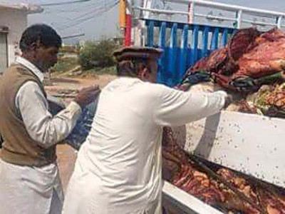 health hazard three held with unhygienic meat health hazard three held with unhygienic meat