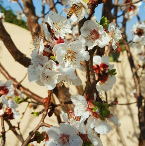 11 beautiful pictures to celebrate spring