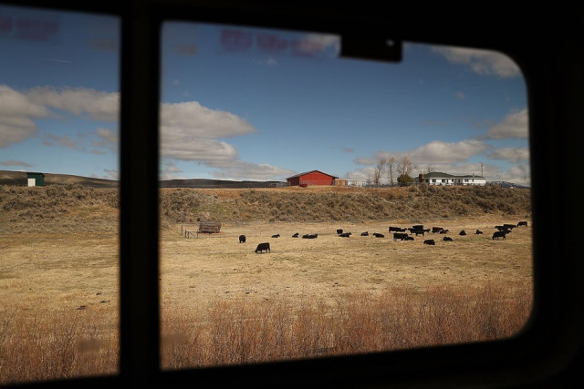 amtrak 039 s california zephyr passes a pasture as it rolls along the rails during its daily 2 438 mile trip to emeryville san francisco from chicago that takes roughly 52 hours in glenwood springs united states photo afp