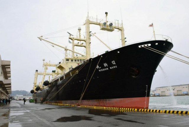 japanese whaling vessel the nisshin maru returns to the shimonoseki port in southwestern japan in this photo taken by kyodo on march 31 2017 after it and two other vessels hunted 333 minke whales in the antarctic ocean photo reuters japanese whaling vessel the nisshin maru returns to the shimonoseki port in southwestern japan in this photo taken by kyodo on march 31 2017 after it and two other vessels hunted 333 minke whales in the antarctic ocean photo reuters
