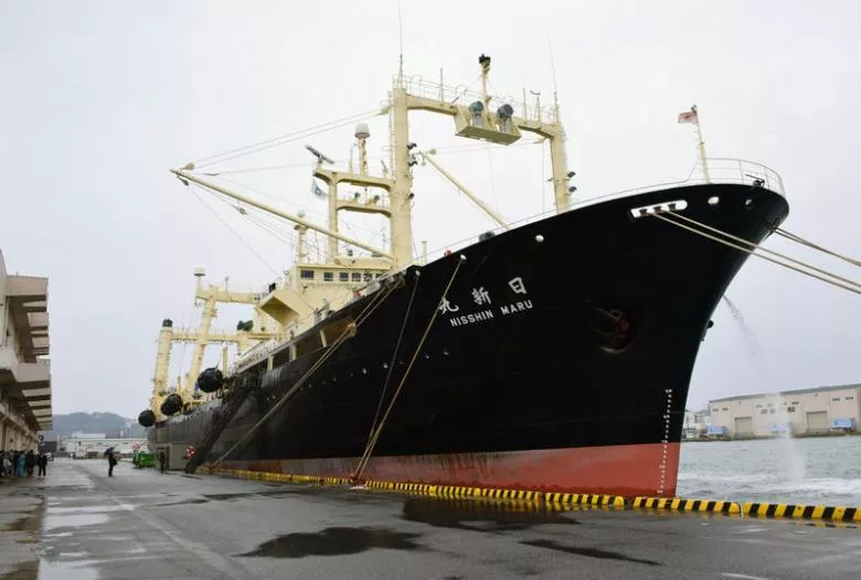 japanese whaling vessel the nisshin maru returns to the shimonoseki port in southwestern japan in this photo taken by kyodo on march 31 2017 after it and two other vessels hunted 333 minke whales in the antarctic ocean photo reuters japanese whaling vessel the nisshin maru returns to the shimonoseki port in southwestern japan in this photo taken by kyodo on march 31 2017 after it and two other vessels hunted 333 minke whales in the antarctic ocean photo reuters