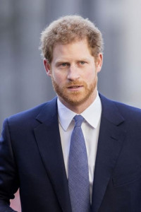 prince harry takes two day course on mental health counselling prince harry takes two day course on mental health counselling