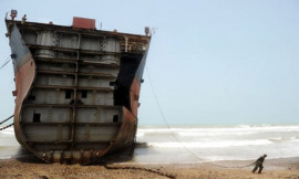coast that blushed pink tide at gadani