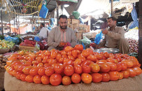 pricey commodity tomato rates jump on supply woes
