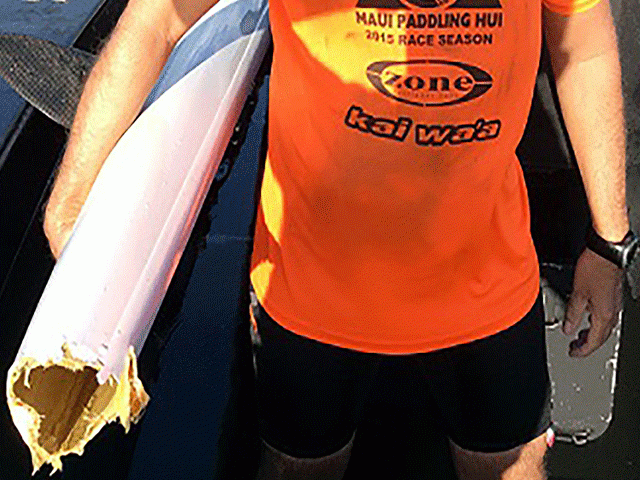 this handout picture taken april 2 2017 and released on april 3 by the queensland police service shows a man holding what 039 s left of a kayak after a shark bit off the boat 039 s stern in moreton bay off brisbane photo afp this handout picture taken april 2 2017 and released on april 3 by the queensland police service shows a man holding what 039 s left of a kayak after a shark bit off the boat 039 s stern in moreton bay off brisbane photo afp