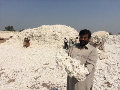 cotton target fixed at 14 4m bales