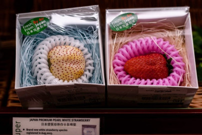 here s how much a single strawberry could cost in hong kong here s how much a single strawberry could cost in hong kong