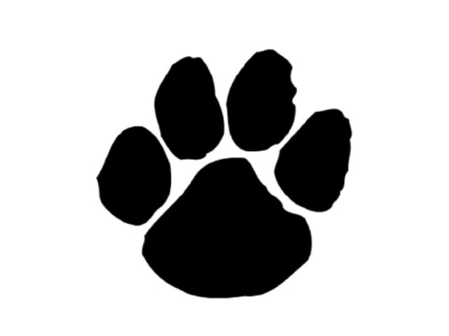 feed for rescue canines allegedly misappropriated four officials charge sheeted feed for rescue canines allegedly misappropriated four officials charge sheeted