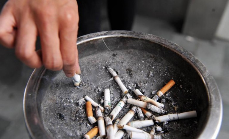 it is estimated that half of daily smokers will die prematurely due to their tobacco habit unless they quit photo afp