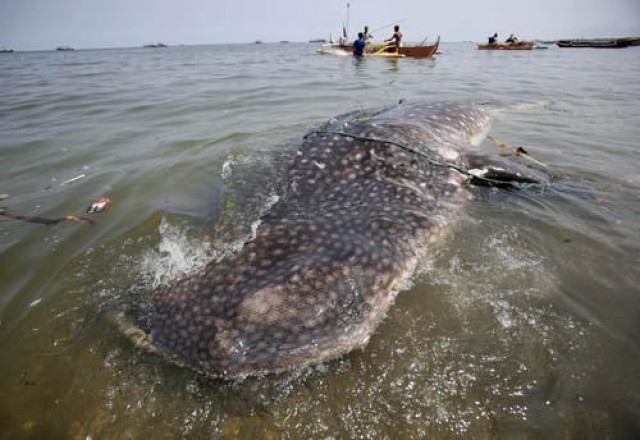 photo reuters photo reuters