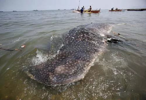 photo reuters photo reuters