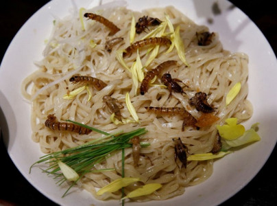 insect topped noodles sell out in tokyo insect topped noodles sell out in tokyo