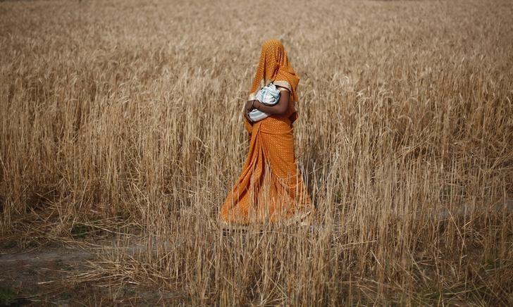 a woman carries her baby as she walks through a wheat field in amroha district in uttar pradesh april 17 2014 photo reuters