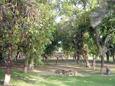 close to nature a trip inside the wild and wonderful world of changa manga close to nature a trip inside the wild and wonderful world of changa manga