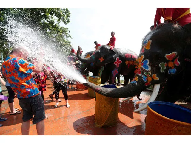 elephants spray tourists with water in celebration of the songkran water festival in ayutthaya province north of bangkok thailand april 11 2017 photo reuters elephants spray tourists with water in celebration of the songkran water festival in ayutthaya province north of bangkok thailand april 11 2017 photo reuters