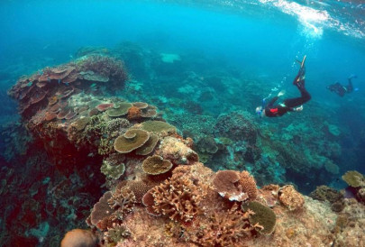 barrier reef bleaching could cost australia over one million tourists a year barrier reef bleaching could cost australia over one million tourists a year