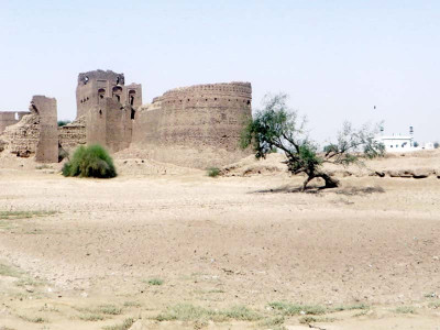 lack of rain brings clouds of drought to cholistan lack of rain brings clouds of drought to cholistan