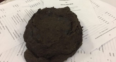 us governor dumps budget with bull dump us governor dumps budget with bull dump