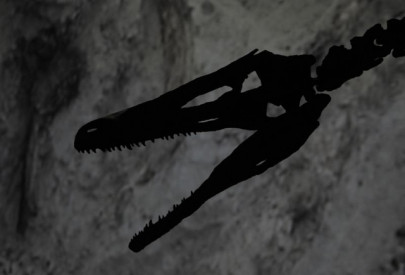 scientists find footprint of unknown ancient reptile in spain scientists find footprint of unknown ancient reptile in spain