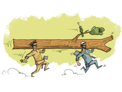 denuding forests g b to jail timber thieves