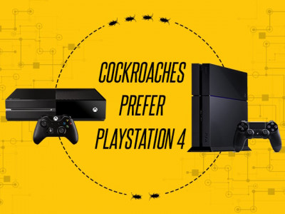 cockroaches prefer playstation 4 over xbox one console repair business