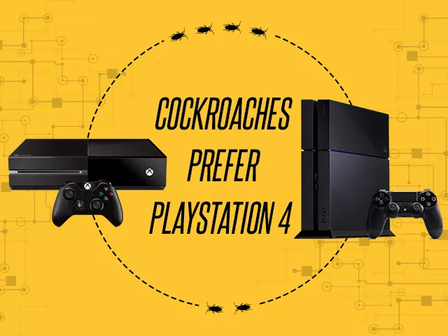 cockroaches find the ps4 to be a better 039 roach hotel 039 than xbox one design nabeel ahmed cockroaches find the ps4 to be a better 039 roach hotel 039 than xbox one design nabeel ahmed