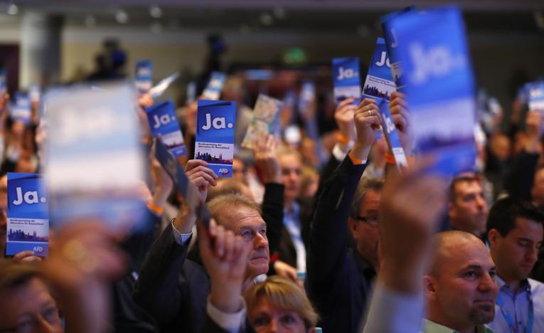 german anti immigrant party set to go further right after leader suffers defeat