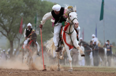 riders showcase talent at tent pegging event riders showcase talent at tent pegging event