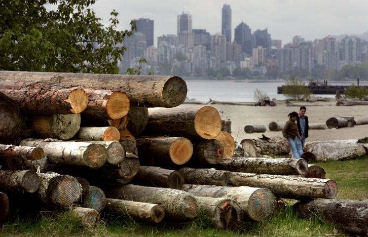 a pile of cut logs sit on spanish banks in vancouver british columbia canada on april 26 2006 photo reuters