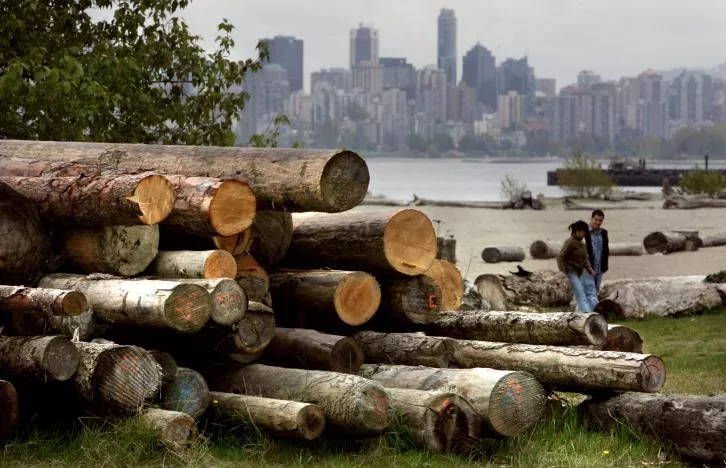 a pile of cut logs sit on spanish banks in vancouver british columbia canada on april 26 2006 photo reuters a pile of cut logs sit on spanish banks in vancouver british columbia canada on april 26 2006 photo reuters