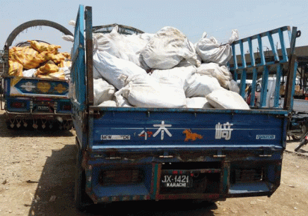 the sharae faisal police said they raided a shop at abbas residency in block 12 of gulistan e jauhar and recovered a huge cache of hides the sho said they have arrested a chinese national and six pakistanis the gang used to bring the hides from lahore via train he added photo ppi