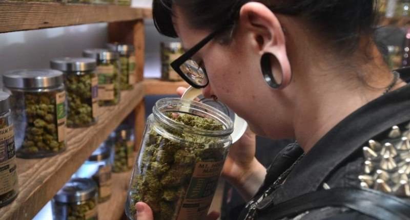 customer looking at legalised marijuana photo afp