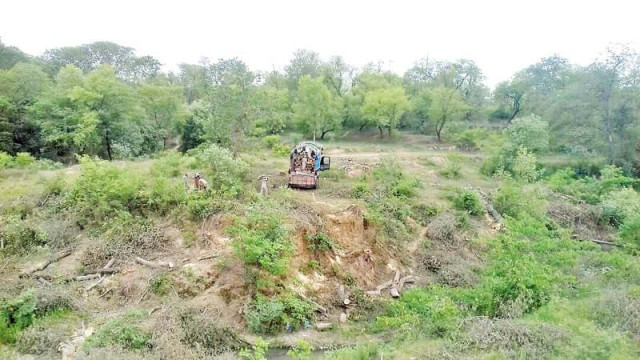 a truck hauls away trees cut down on metro bus route photo arsalan altaf express a truck hauls away trees cut down on metro bus route photo arsalan altaf express