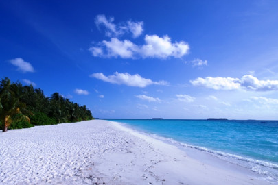 please help me i m all alone please help me i m all alone