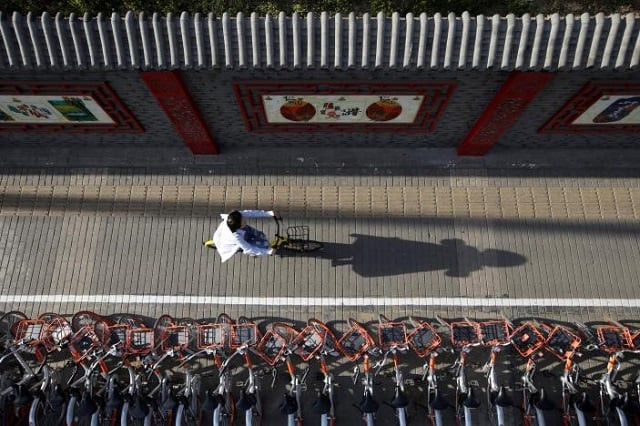 a woman rides an ofo 039 s shared bike past mobike 039 s shared bikes in beijing 039 s central business area china april 21 2017 picture taken april 21 2017 photo reuters a woman rides an ofo 039 s shared bike past mobike 039 s shared bikes in beijing 039 s central business area china april 21 2017 picture taken april 21 2017 photo reuters