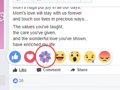 facebook introduces flower reaction button to mark mother s day