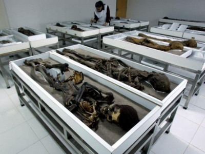 17 mummies discovered in central egypt ministry