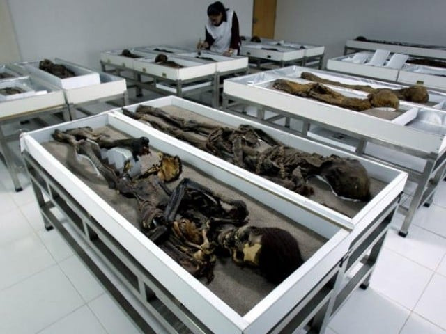 chinchorro mummies are seen inside azapa 039 s san miguel museum in arica city north santiago photo reuters chinchorro mummies are seen inside azapa 039 s san miguel museum in arica city north santiago photo reuters