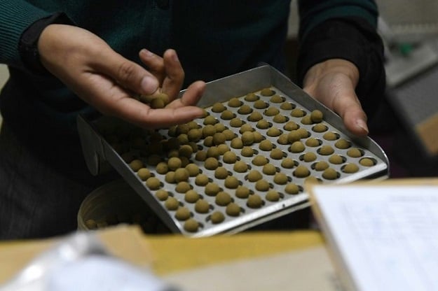 staff member of tibetan medical practitioner yeshi dhonden 039 s tibetan herbal clinic packs traditional tibetan medicine to send to patients by courier in the indian town of dharamsala photo afp