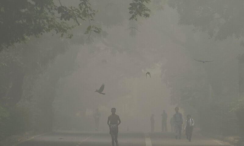 a man jogs as he participates in a marathon while the sky is enveloped with smog after delhi s air quality was classified as hazardous amidst severe air pollution in new delhi india on november 14 2024 photo reuters