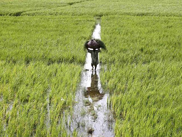 60 of water and inputs in agricultural fields were being wasted photo reuters