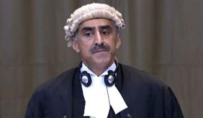 pakistan icj lawyer represented india in 2004