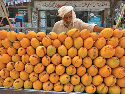 low mango produce has farmers worried for future low mango produce has farmers worried for future
