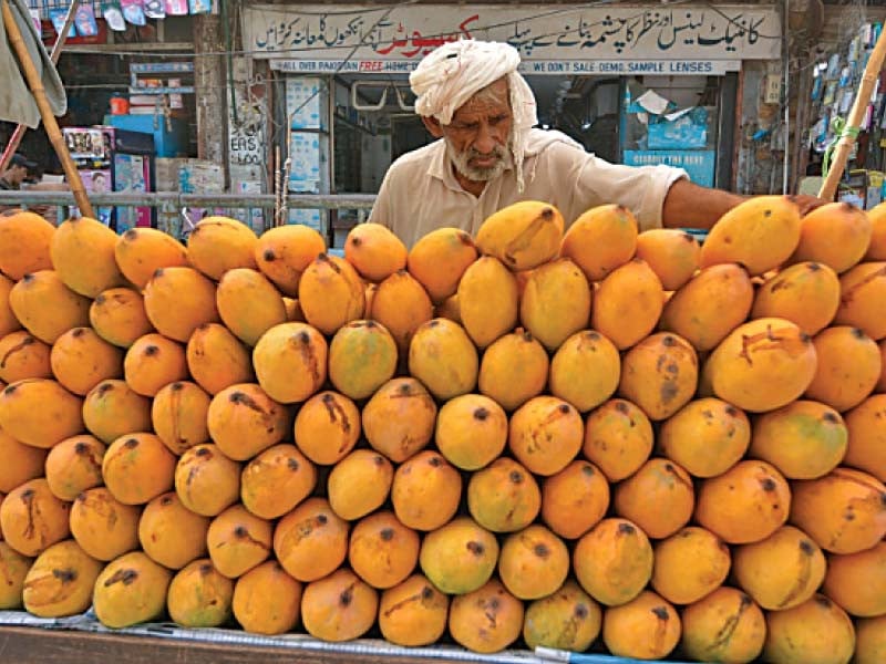 a vendor sells mangoes on a street in karachi mangoes are plucked raw from trees then packed in crates with a sachet of calcium carbide to ripen them on way to the market photo express